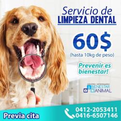 Servicio de limpieza dental