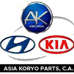 Tienda de venta de repuestos Kia Hyundai
