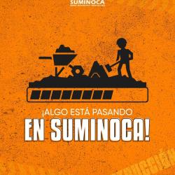 Suminoca