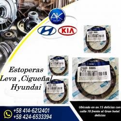 Estoperas Leva, Cigüeñal Hyundai