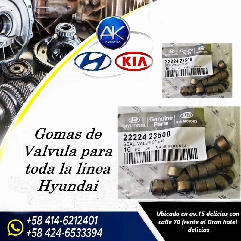 Gomas de Valvula para toda la línea Hyundai