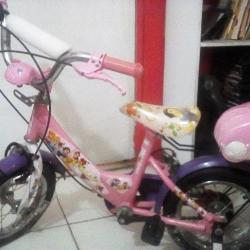 Bici para niñas Princesas Disney